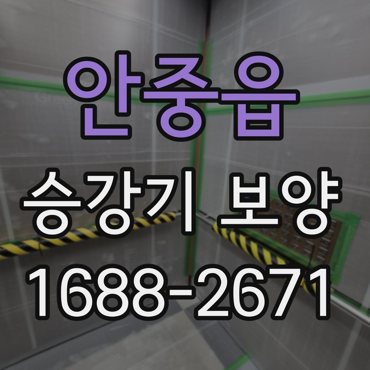 안중읍 승강기 보양