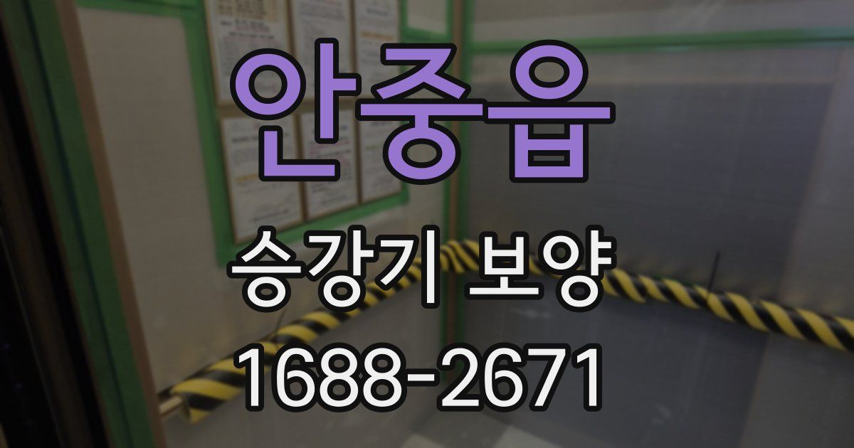 안중읍 승강기 보양