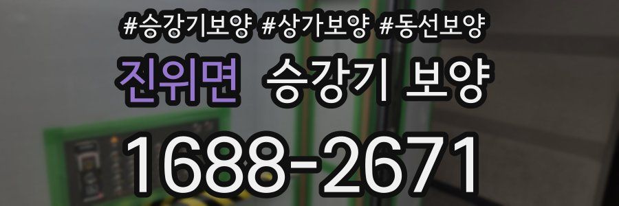 진위면 승강기 보양