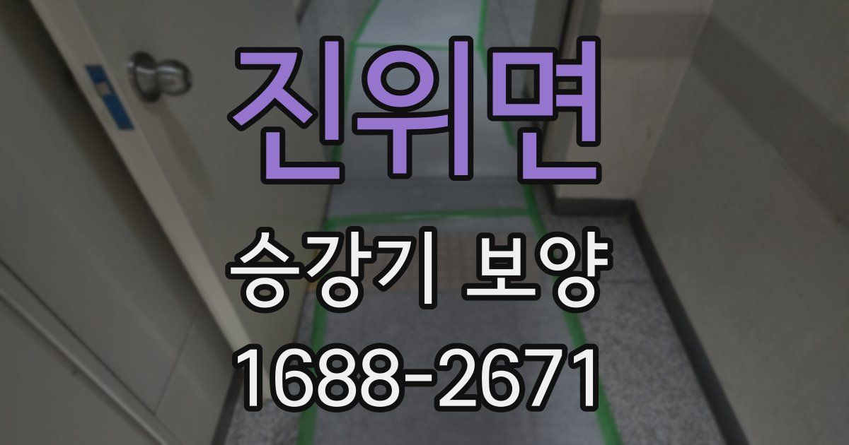 진위면 승강기 보양