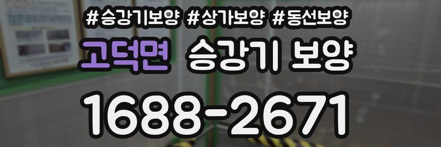고덕면 승강기 보양