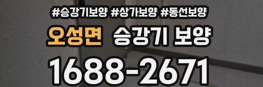 오성면 승강기 보양