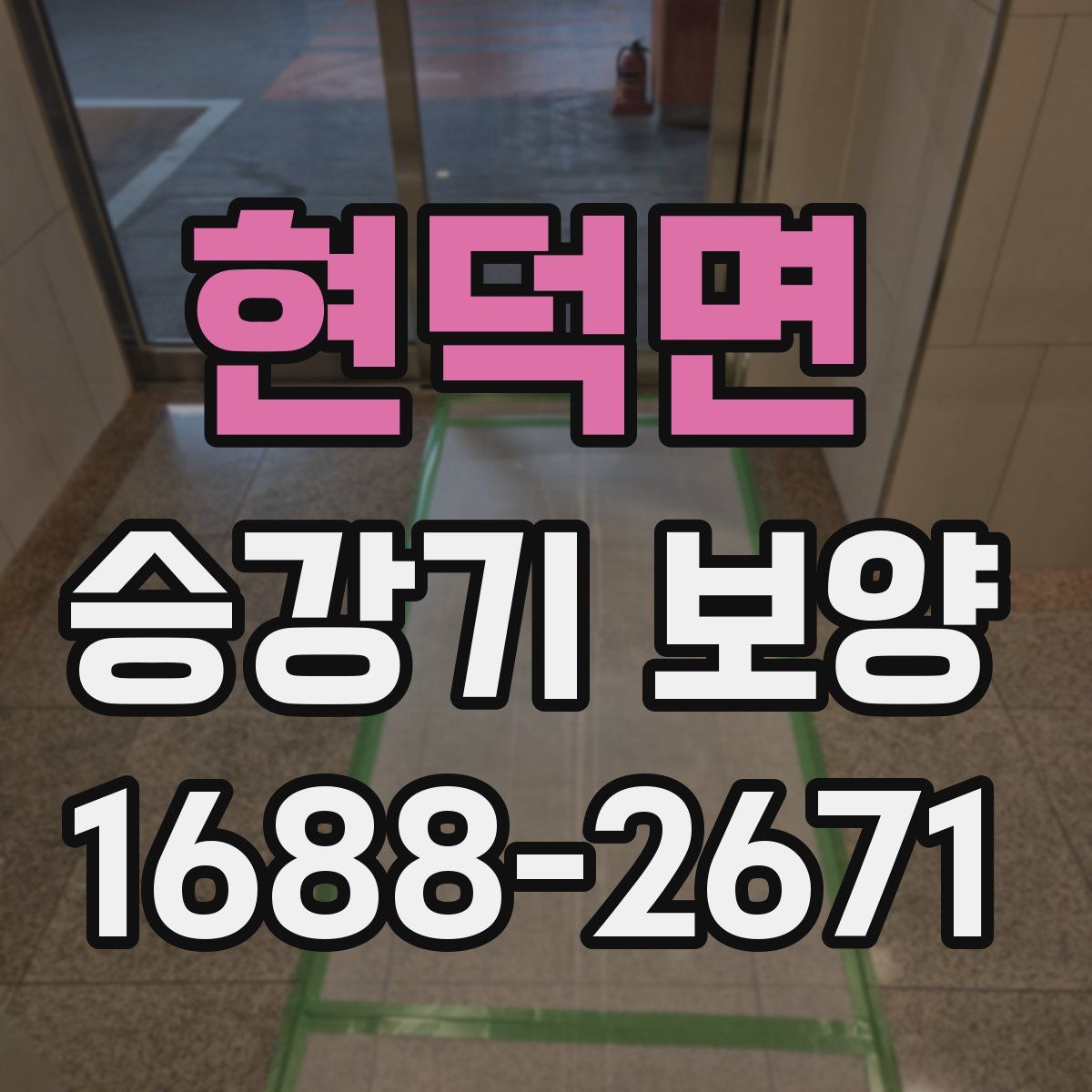 현덕면 승강기 보양