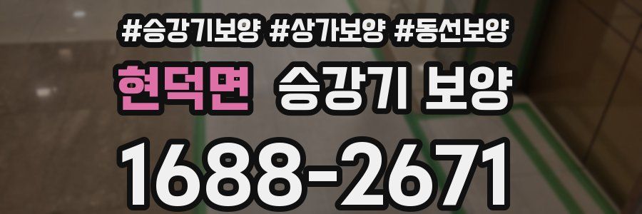 현덕면 승강기 보양