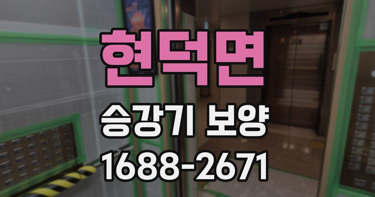 현덕면 승강기 보양