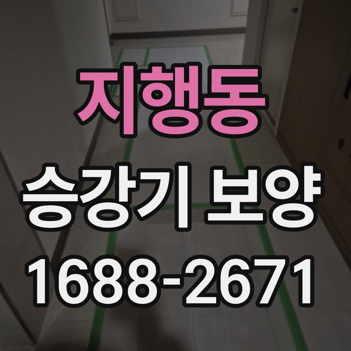 지행동 승강기 보양