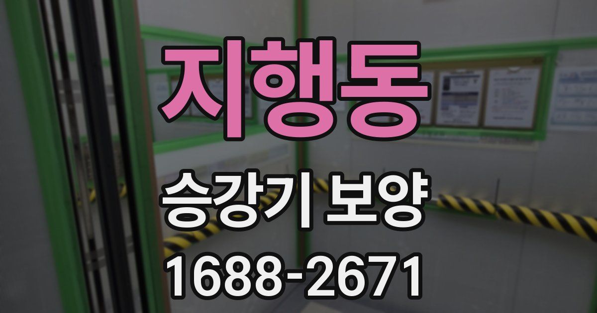 지행동 승강기 보양