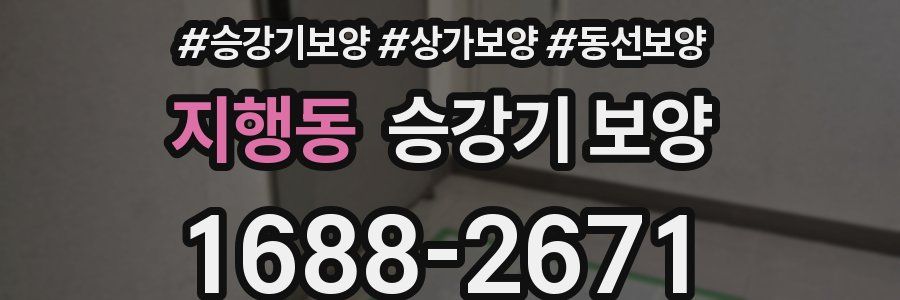 지행동 승강기 보양