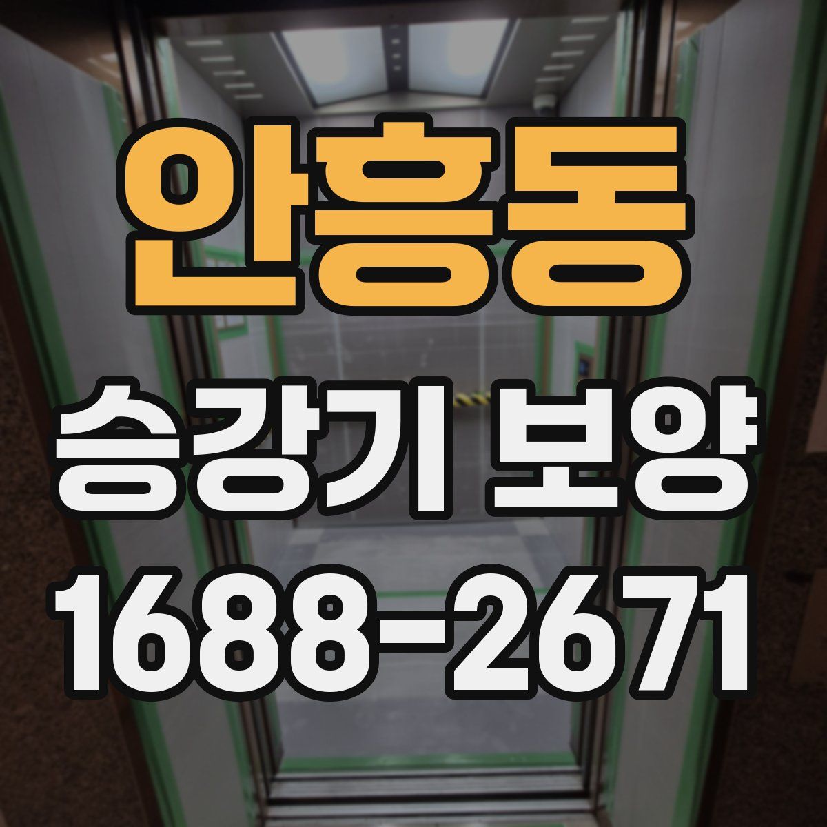 안흥동 승강기 보양