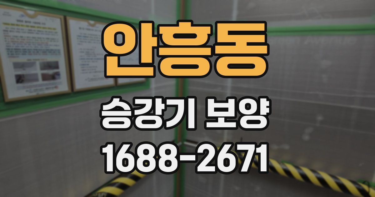 안흥동 승강기 보양