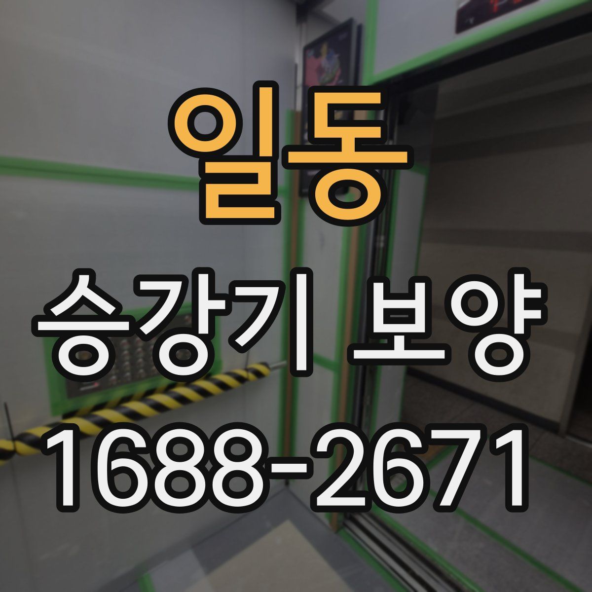 일동 승강기 보양