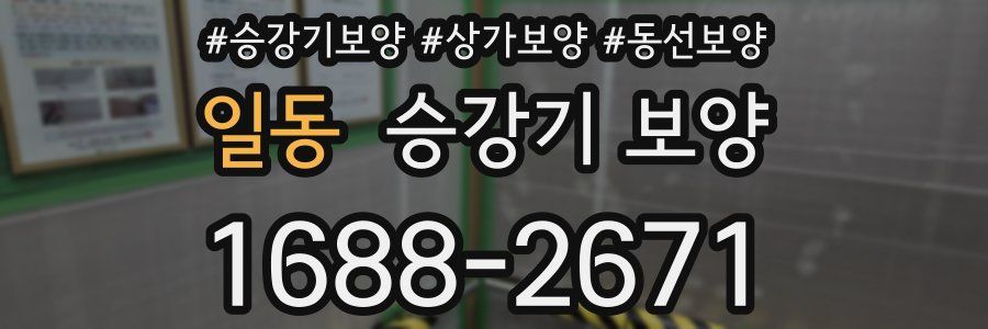 일동 승강기 보양