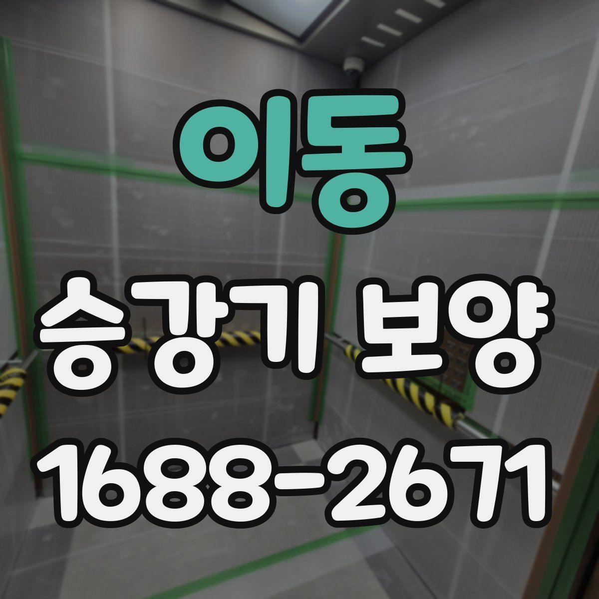이동 승강기 보양