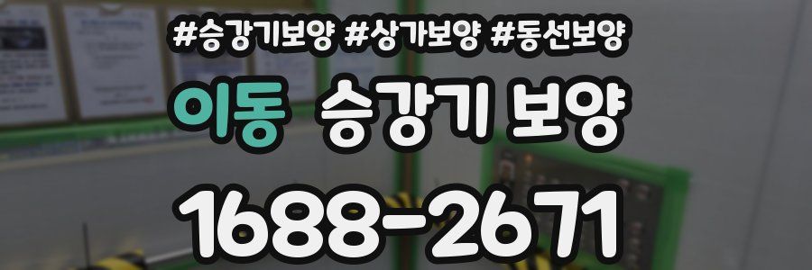 이동 승강기 보양