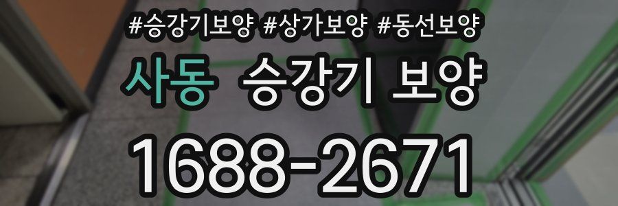 사동 승강기 보양