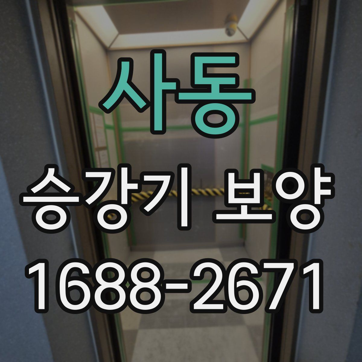 사동 승강기 보양