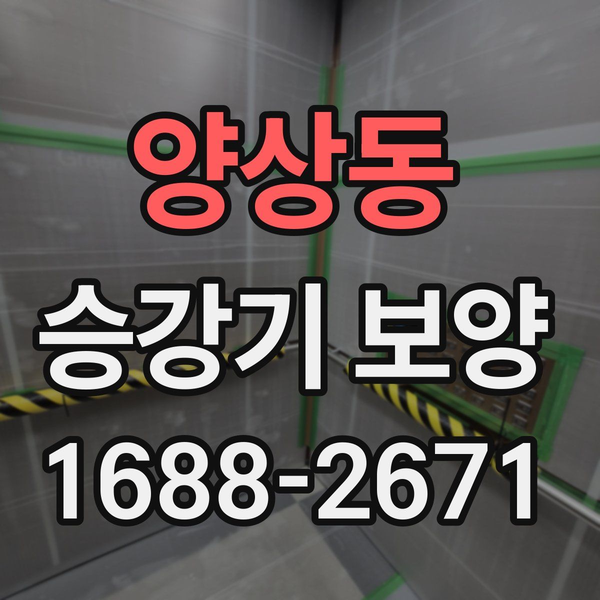 양상동 승강기 보양