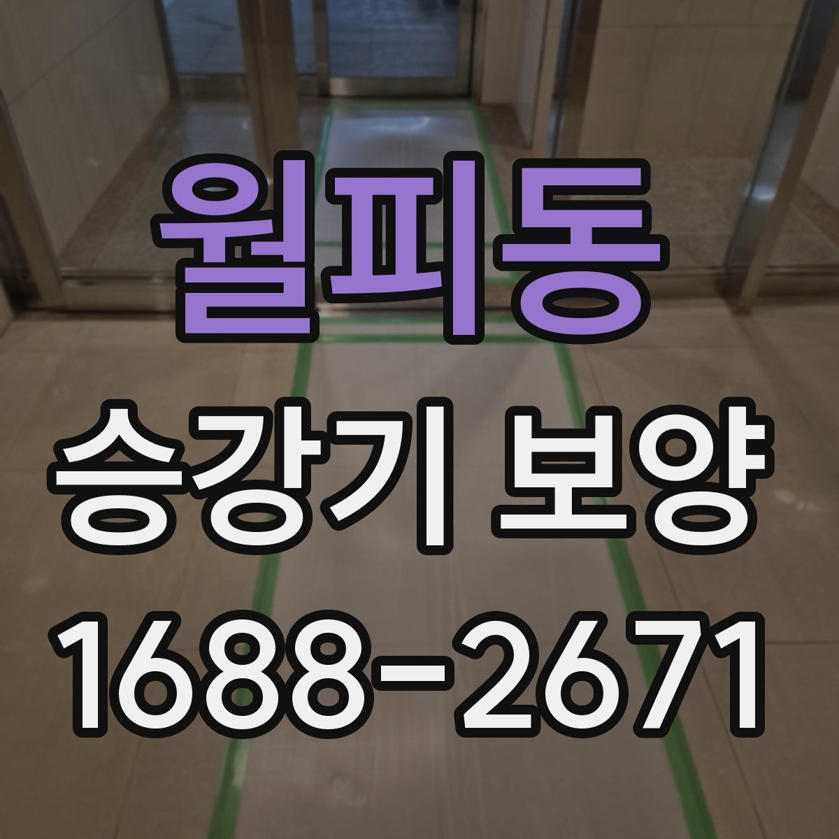 월피동 승강기 보양