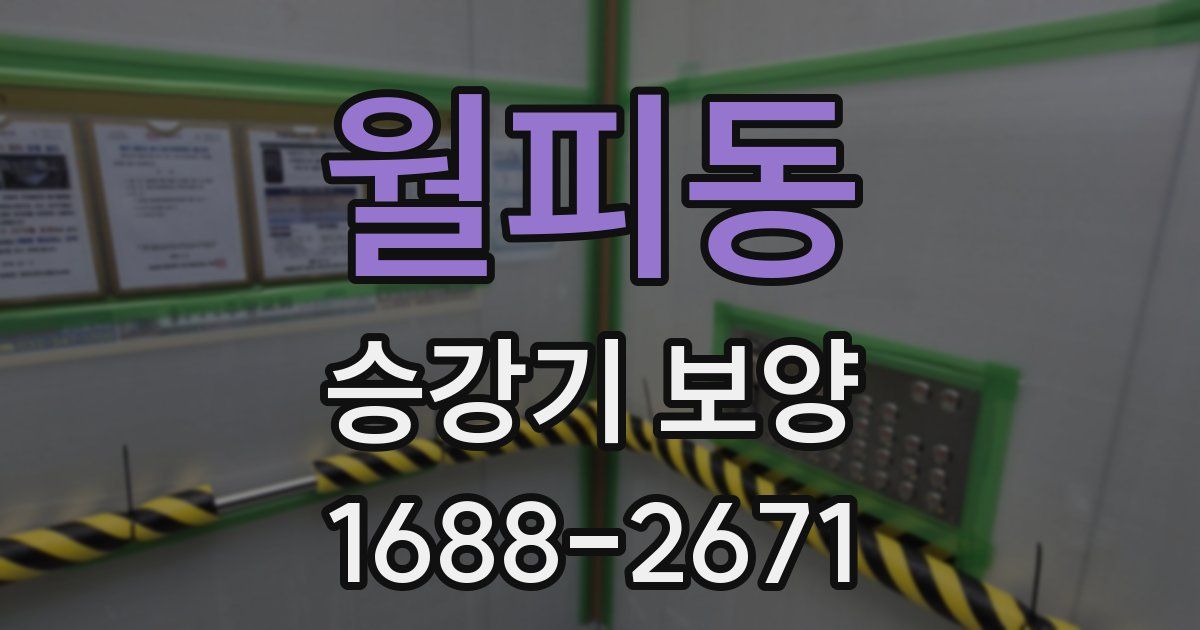 월피동 승강기 보양