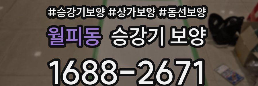 월피동 승강기 보양