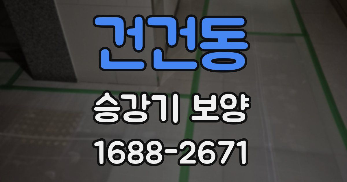 건건동 승강기 보양
