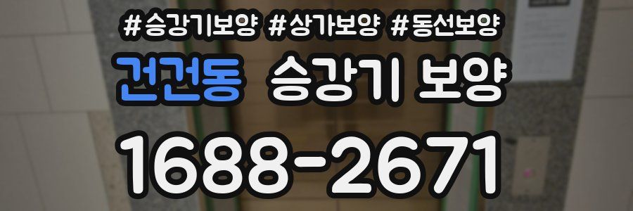 건건동 승강기 보양