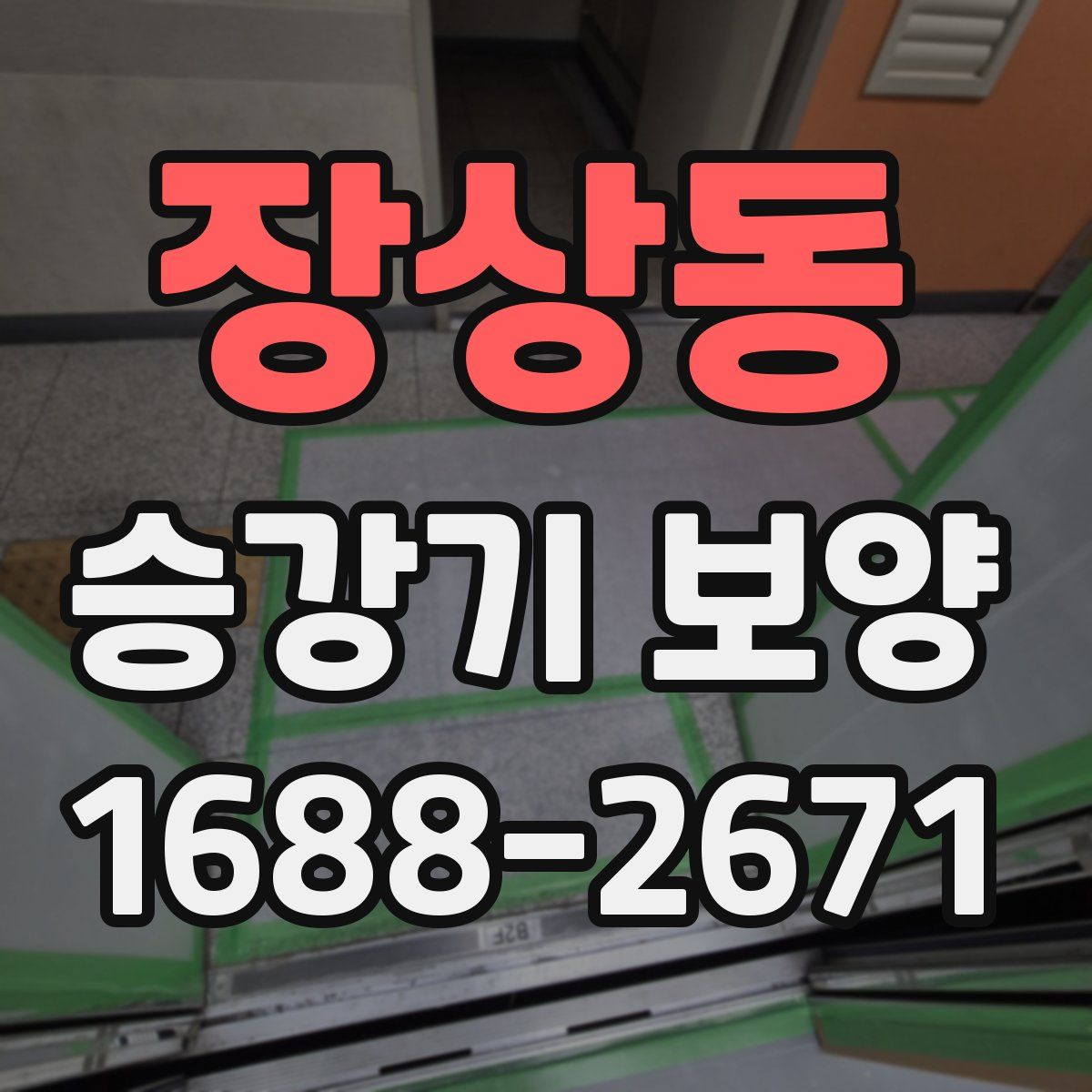 장상동 승강기 보양