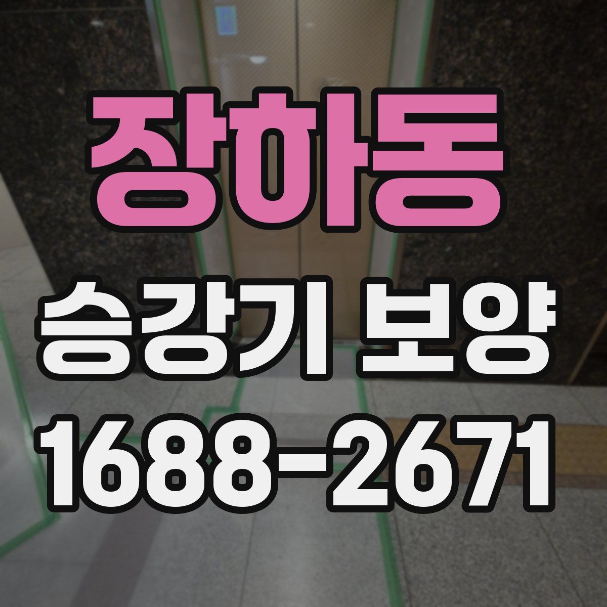 장하동 승강기 보양