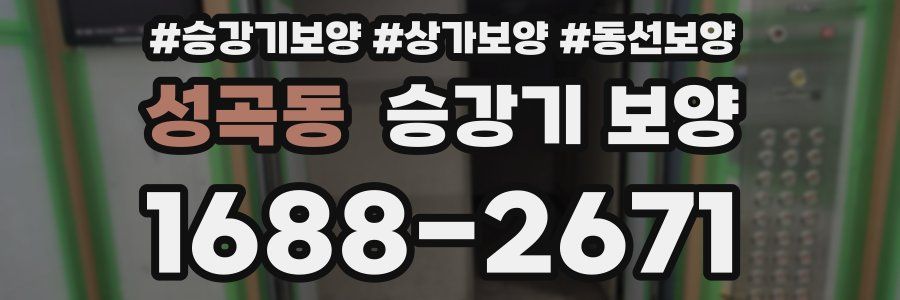 성곡동 승강기 보양