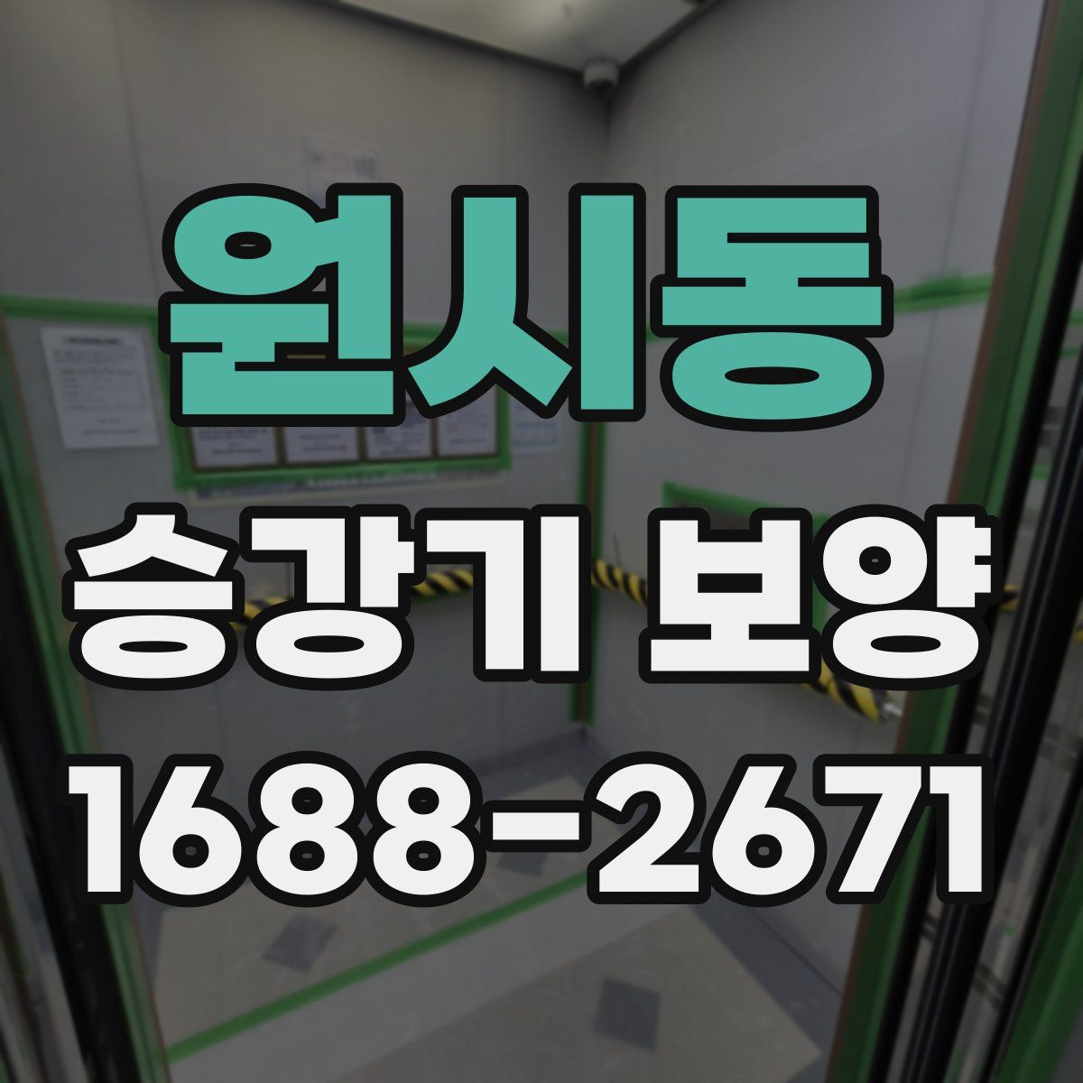 원시동 승강기 보양