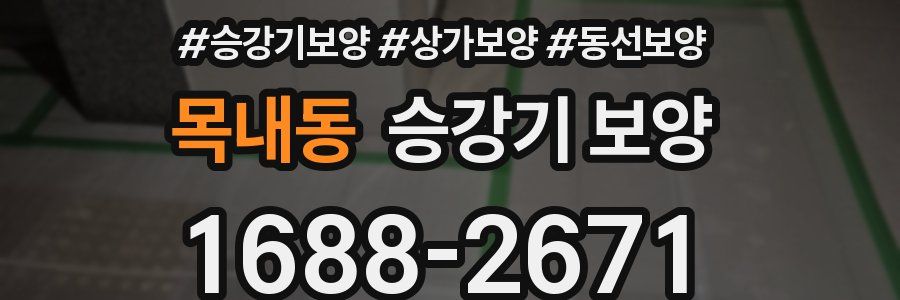 목내동 승강기 보양