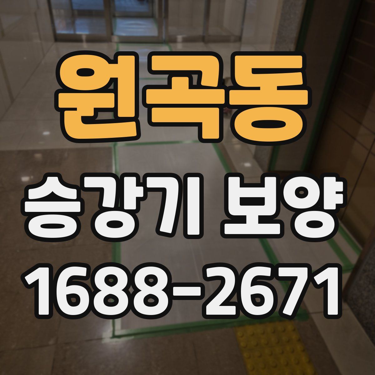 원곡동 승강기 보양