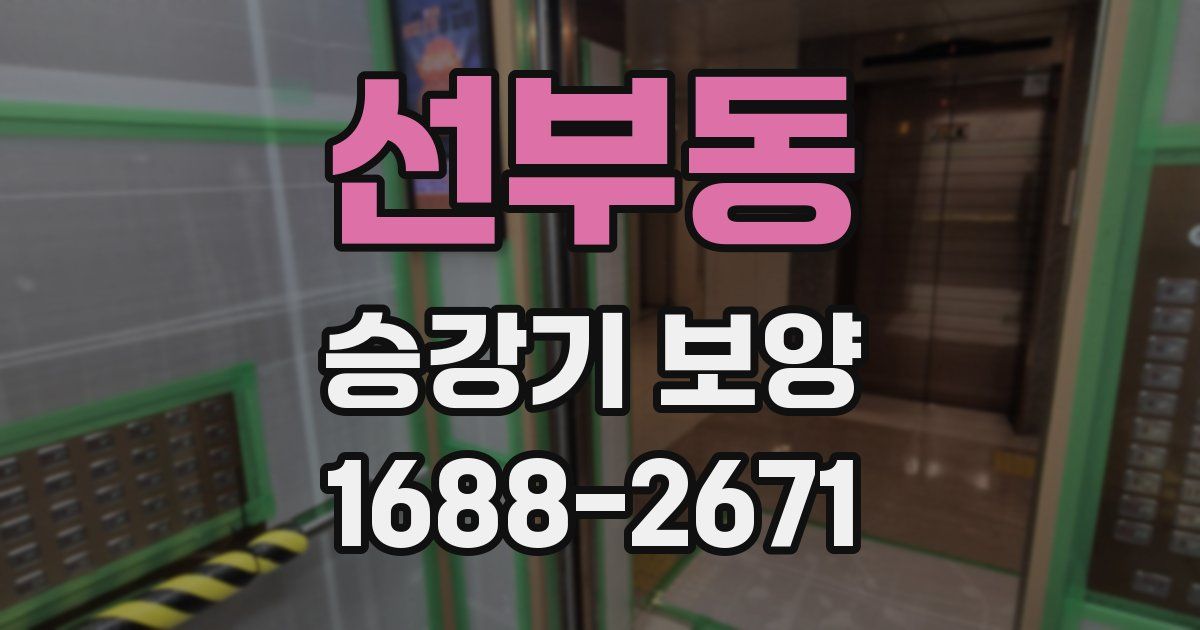 선부동 승강기 보양