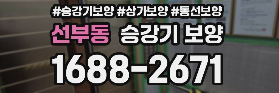 선부동 승강기 보양