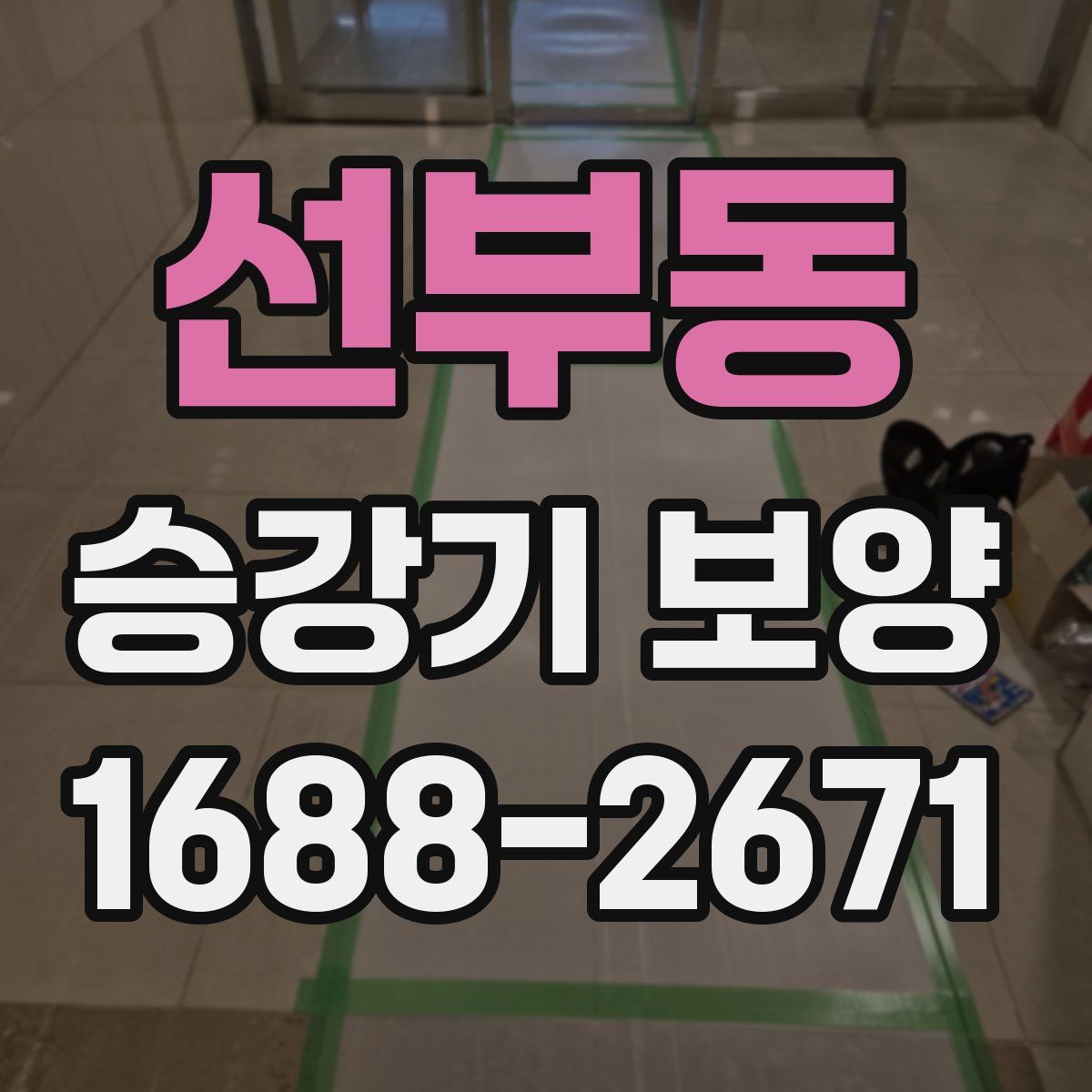 선부동 승강기 보양