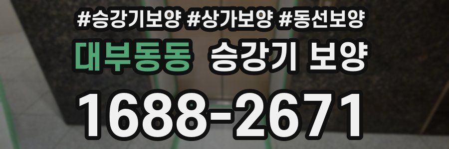 대부동동 승강기 보양