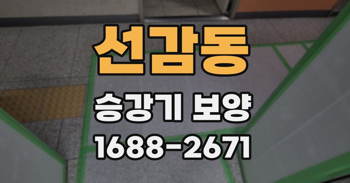 선감동 승강기 보양