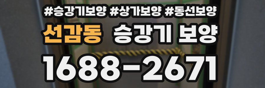 선감동 승강기 보양