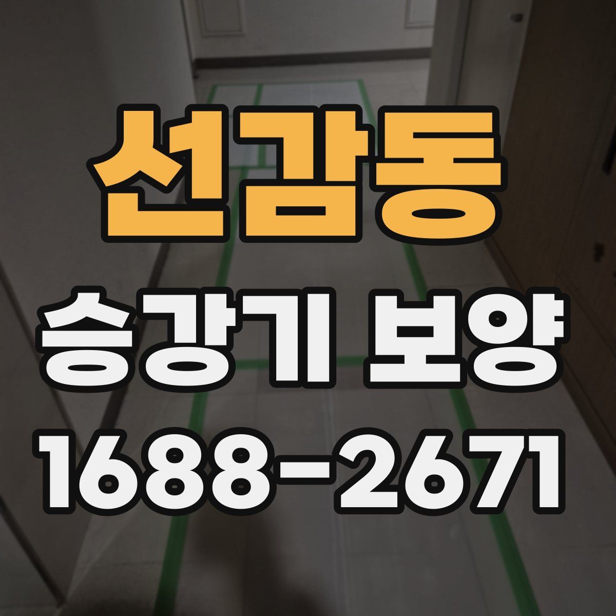선감동 승강기 보양