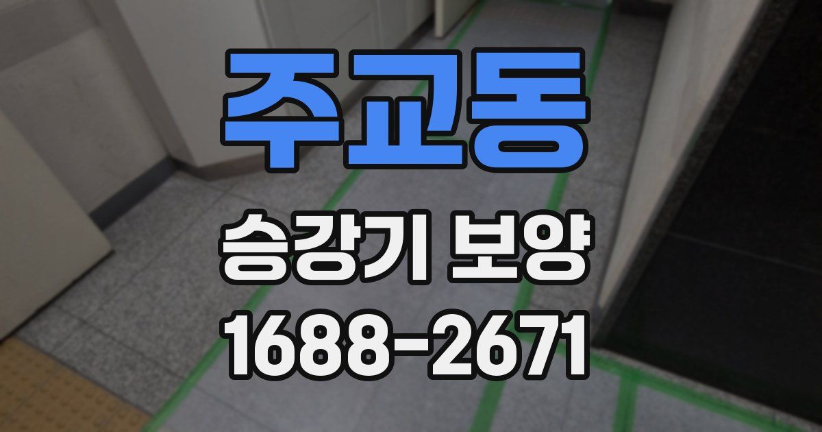 주교동 승강기 보양