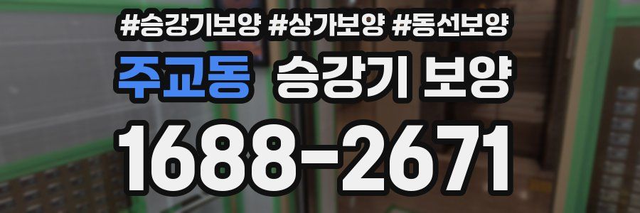 주교동 승강기 보양