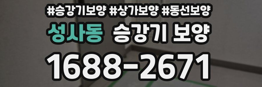 성사동 승강기 보양