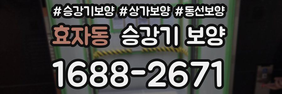 효자동 승강기 보양