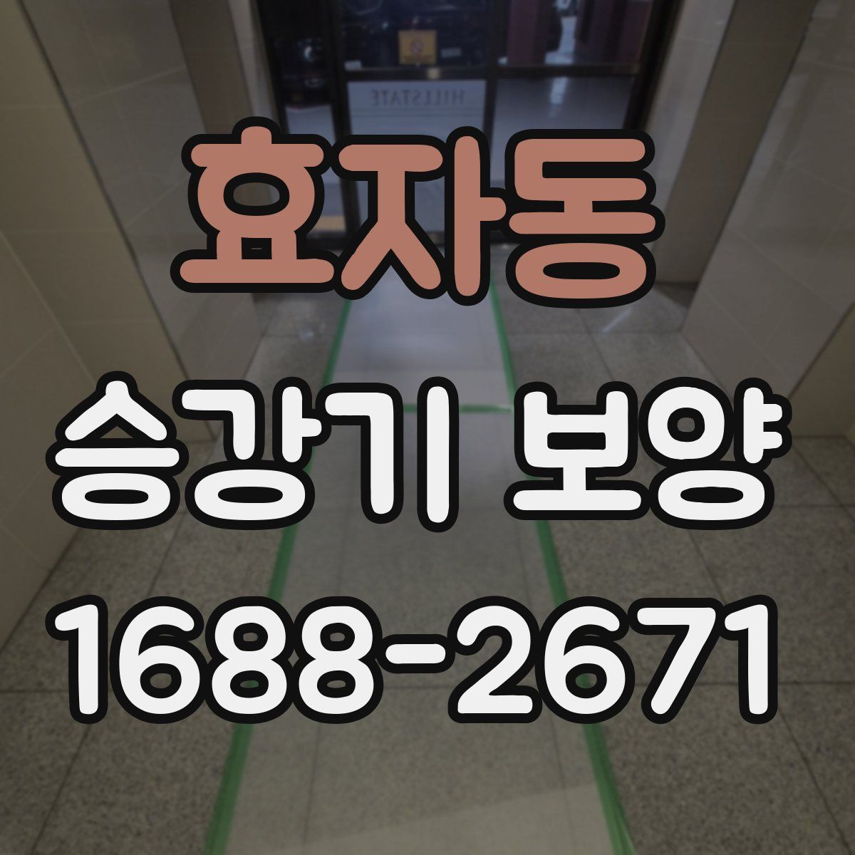 효자동 승강기 보양