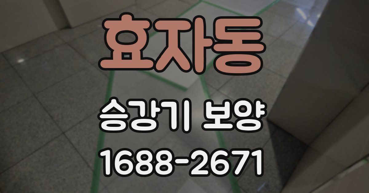 효자동 승강기 보양