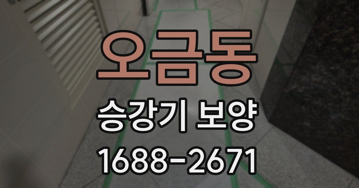 오금동 승강기 보양