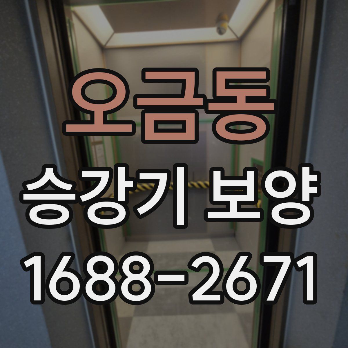오금동 승강기 보양