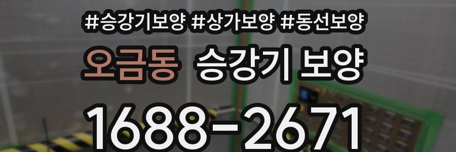 오금동 승강기 보양