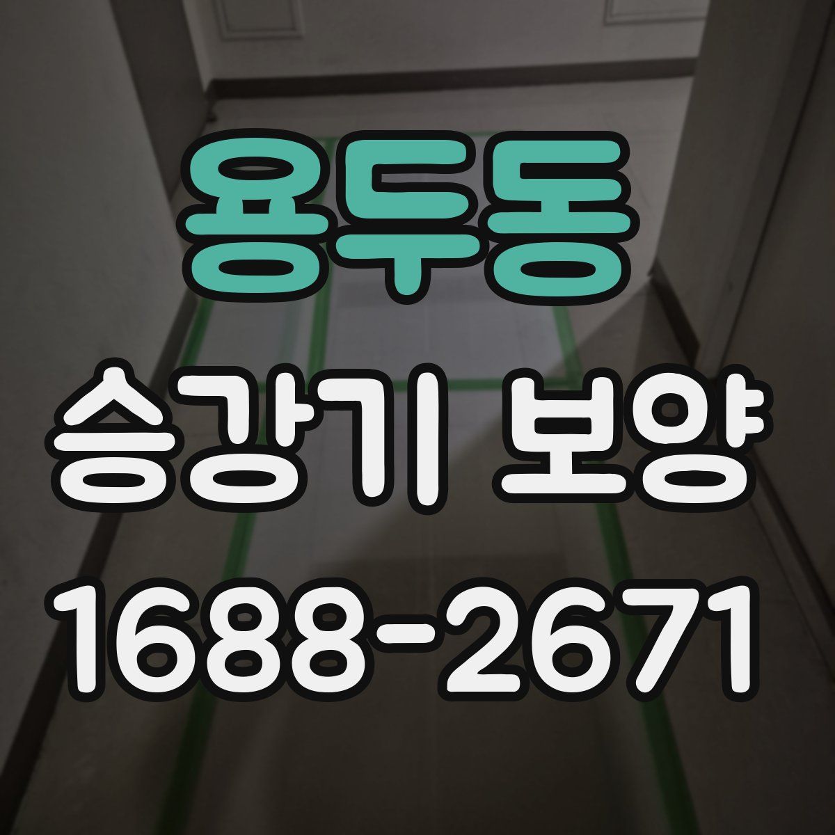 용두동 승강기 보양