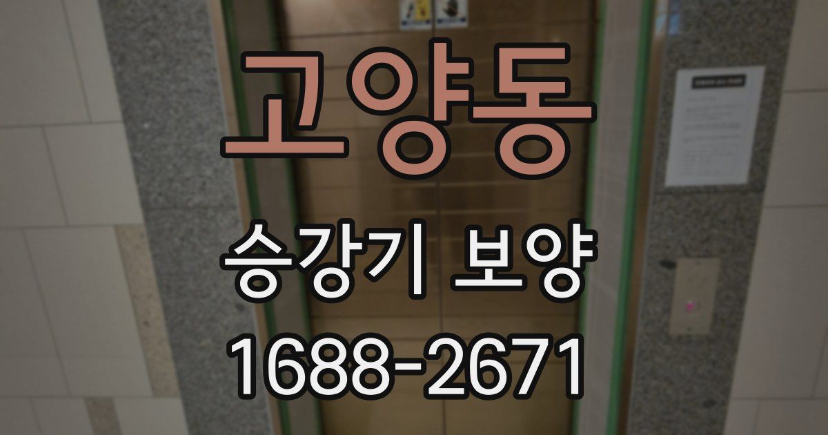 고양동 승강기 보양